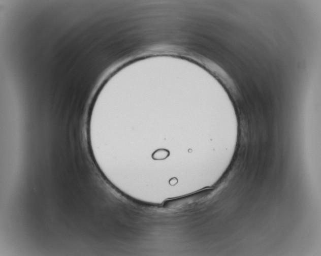 X0000113261288200910221032