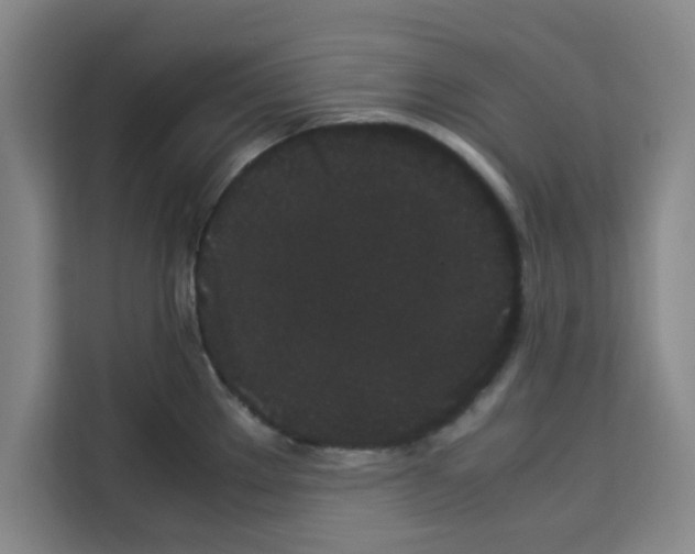 X0000113261289200910221032