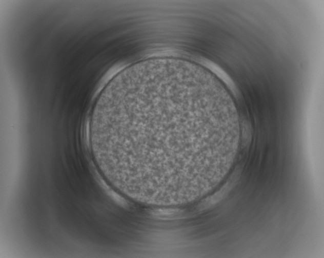 X0000113261290200910221032
