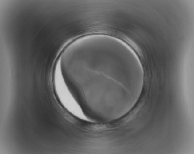 X0000113261291200910221032