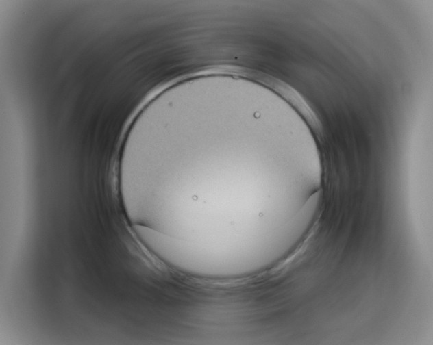 X0000113261292200910221031