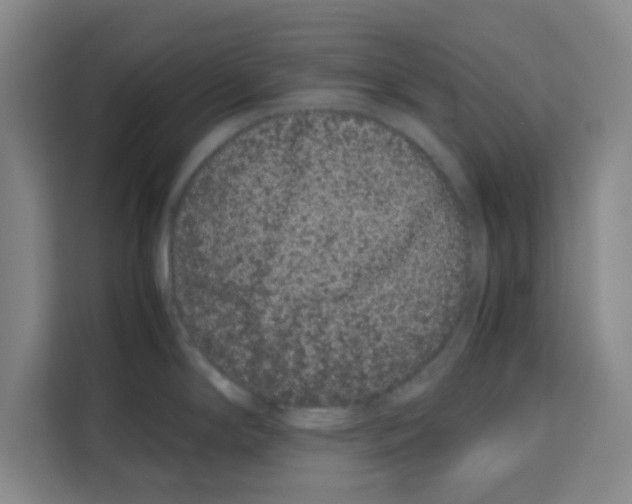 X0000113261294200910221031