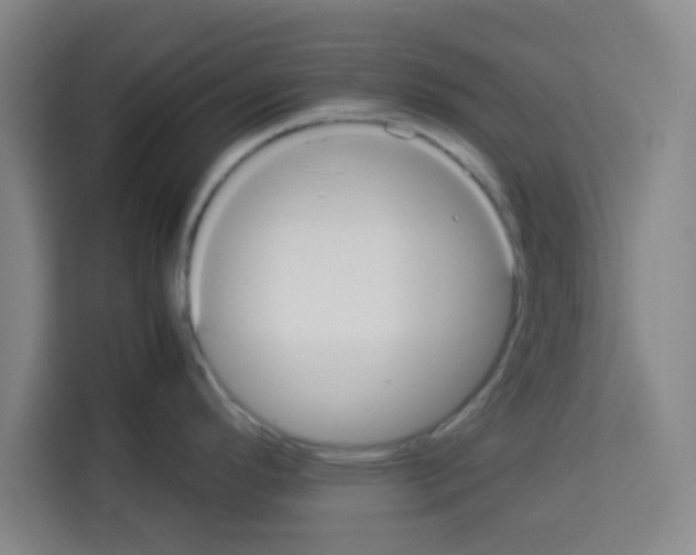 X0000113261296200910221031