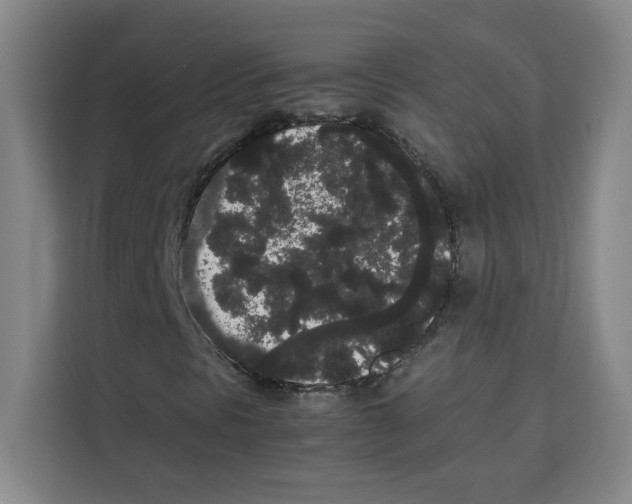 X0000113261297200910221031