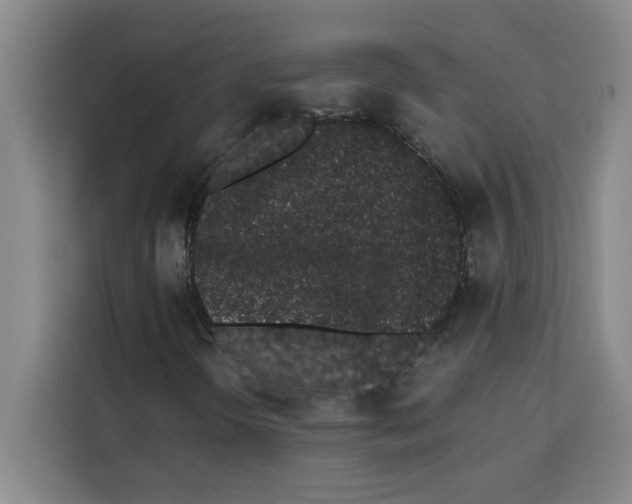 X0000113261298200910221031