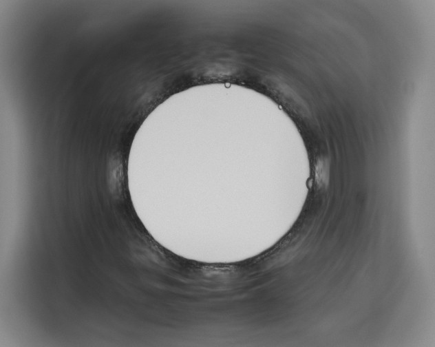X0000113261299200910221031