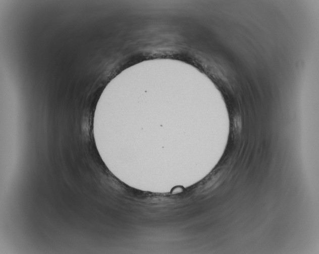 X0000113261300200910221031