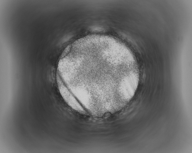 X0000113261301200910221031
