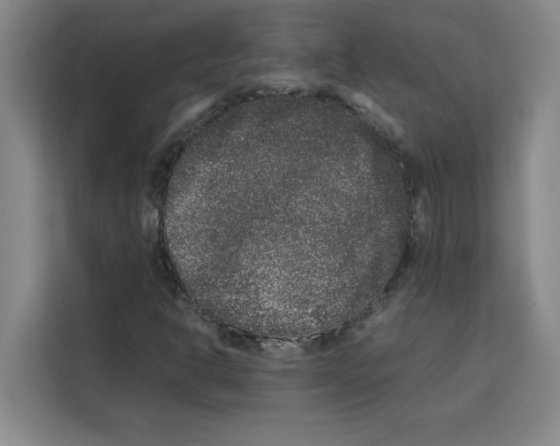 X0000113261302200910221031