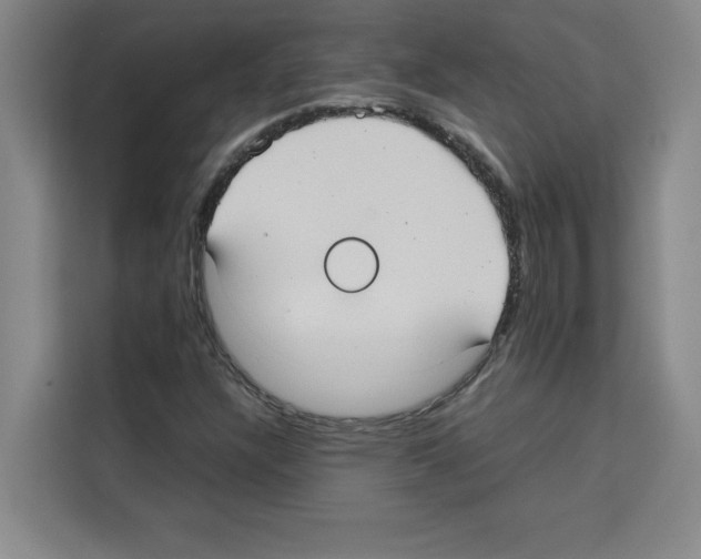 X0000113261304200910221031