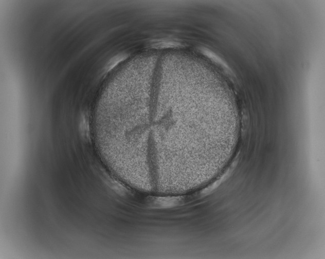 X0000113261305200910221031