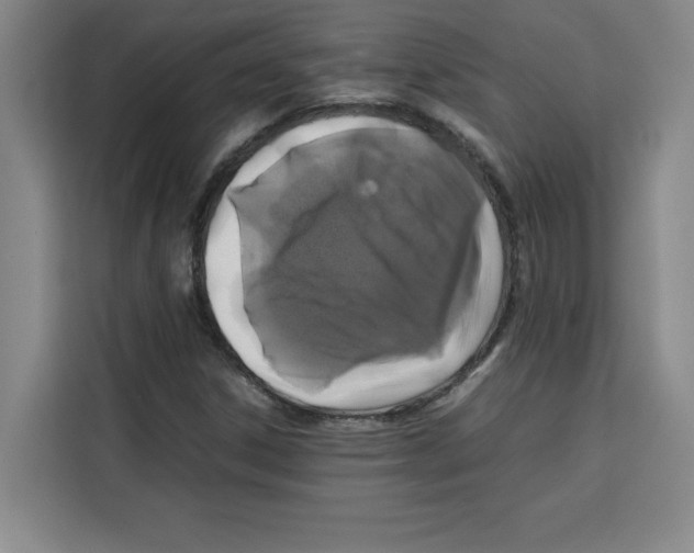 X0000113261306200910221031