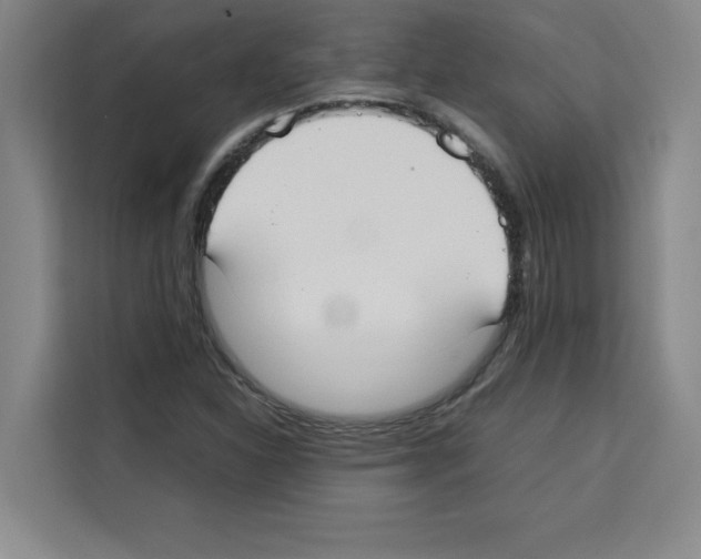 X0000113261310200910221031