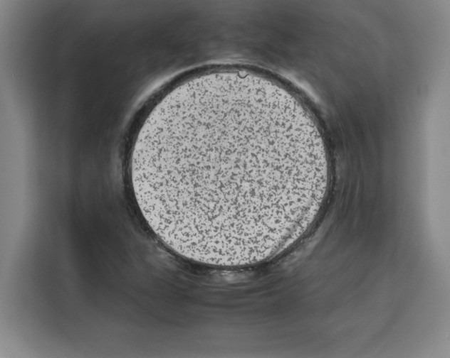 X0000113261311200910221031