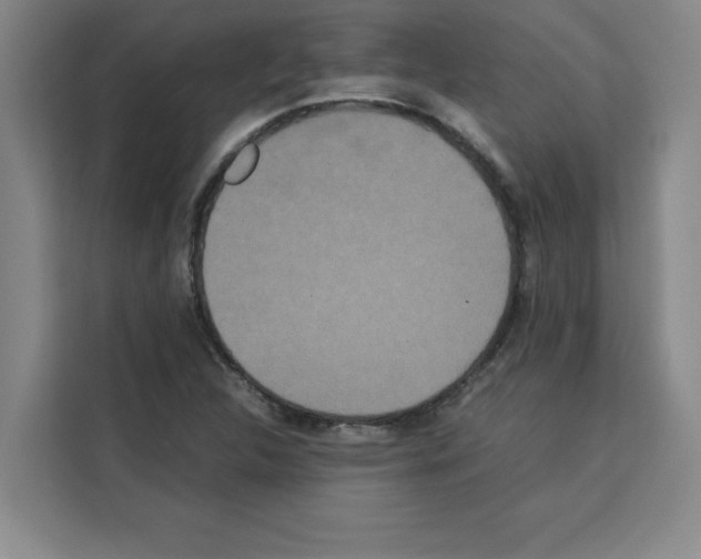 X0000113261312200910221031
