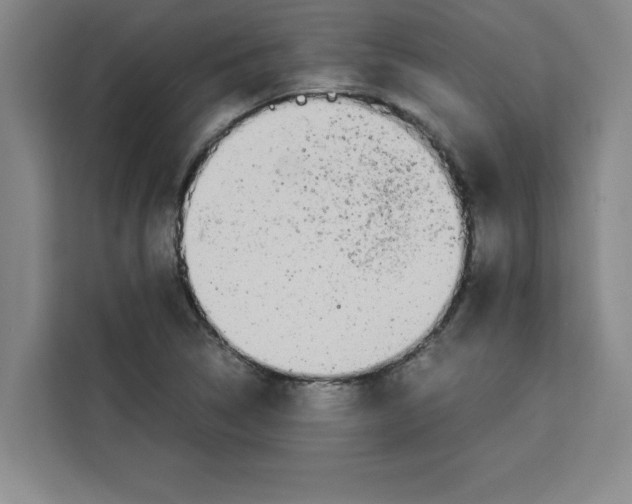 X0000113261314200910221031
