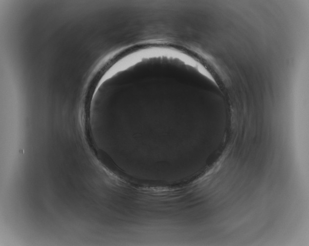 X0000113261319200910221031