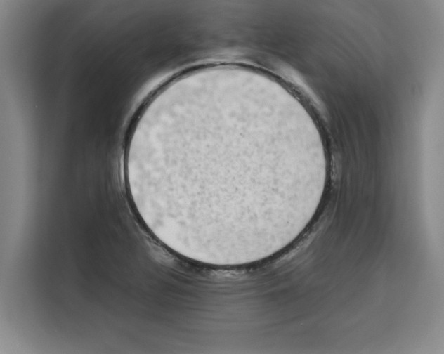 X0000113261320200910221031