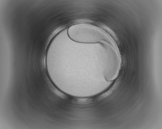X0000113261322200910221031