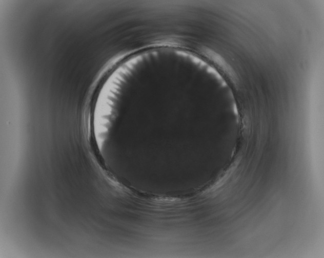 X0000113261323200910221031