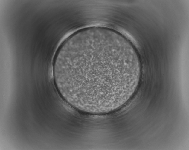 X0000113261324200910221031