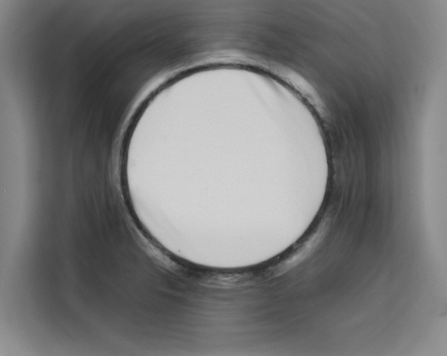 X0000113261326200910221031