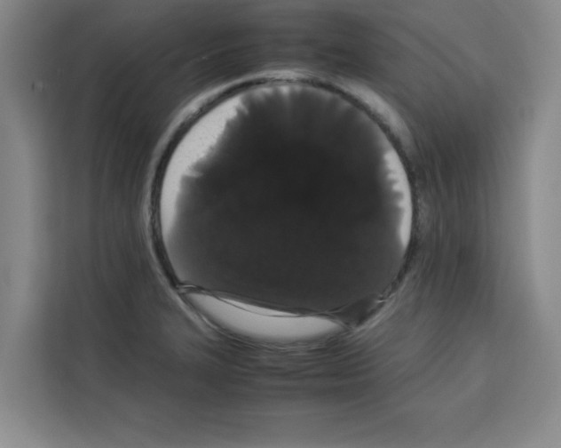 X0000113261327200910221031