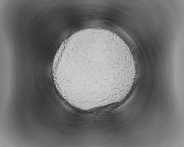 X0000113261329200910221031