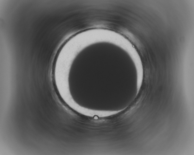 X0000113261331200910221031