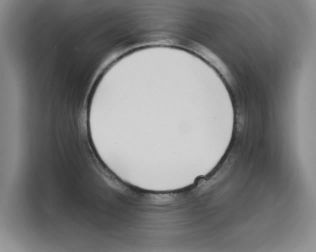X0000113261332200910221031