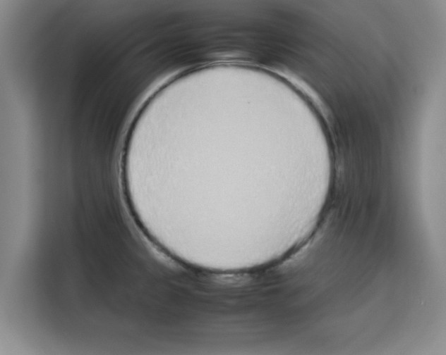 X0000113261333200910221031