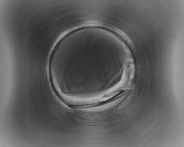 X0000113261334200910221031