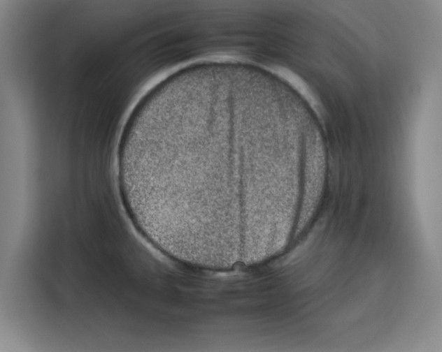 X0000113261335200910221031