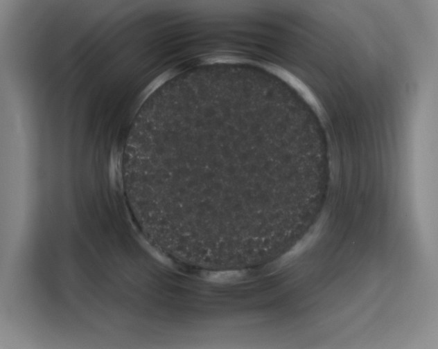 X0000113261337200910221031