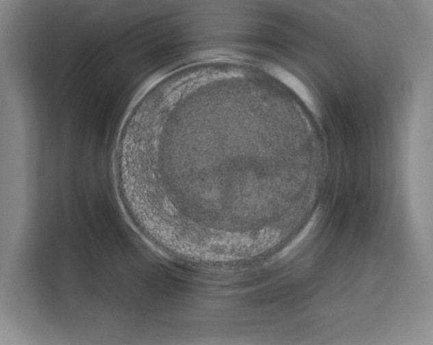 X0000113261338200910221031