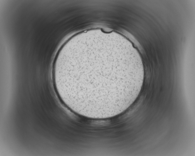 X0000113261339200910221031