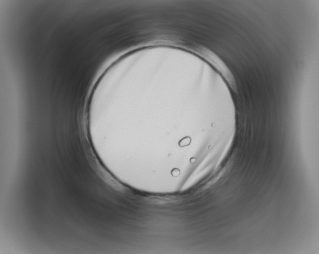 X0000113261340200910221031