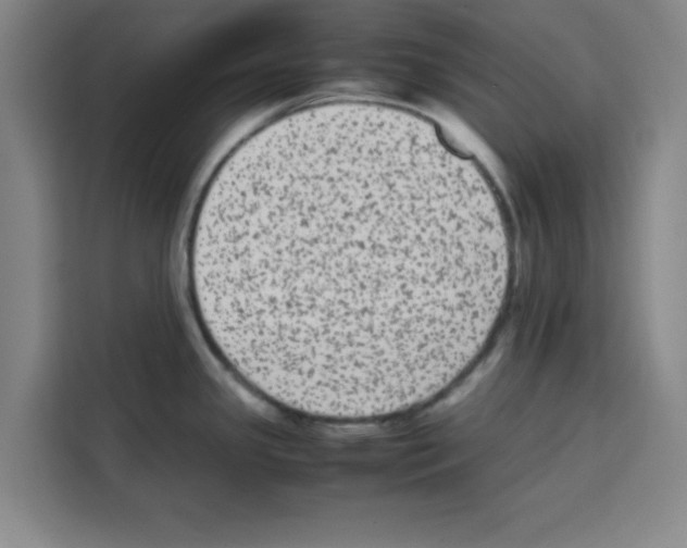 X0000113261341200910221031