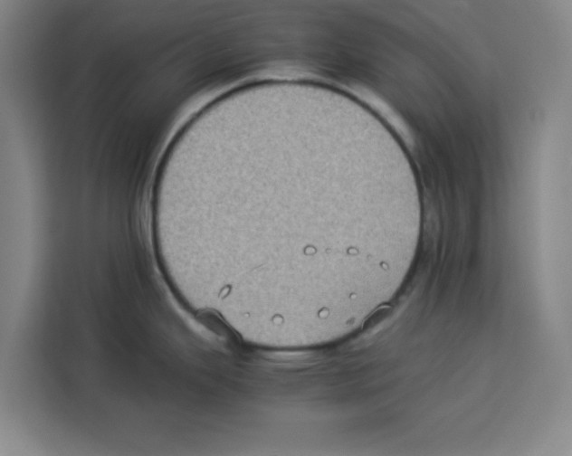 X0000113261343200910221031