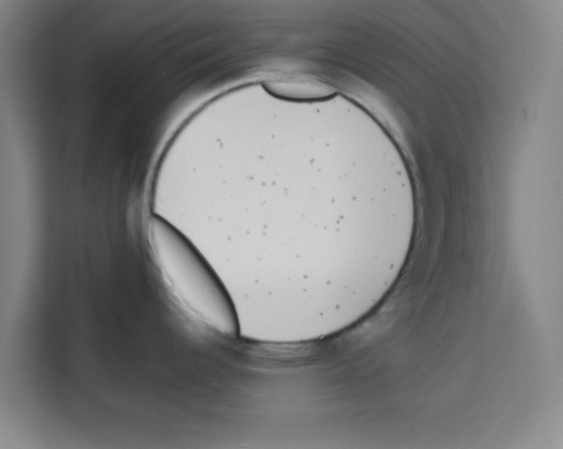 X0000113261344200910221031
