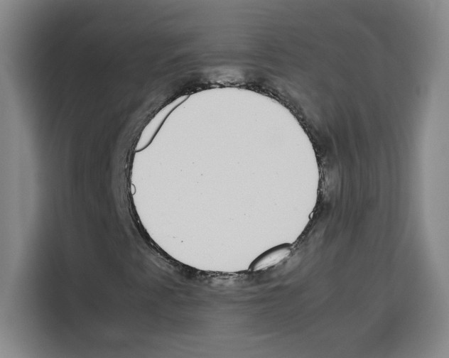 X0000113261345200910221031