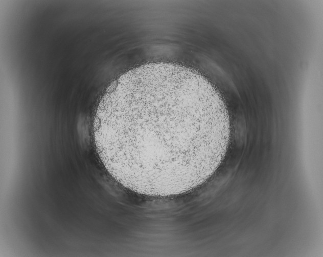X0000113261346200910221031