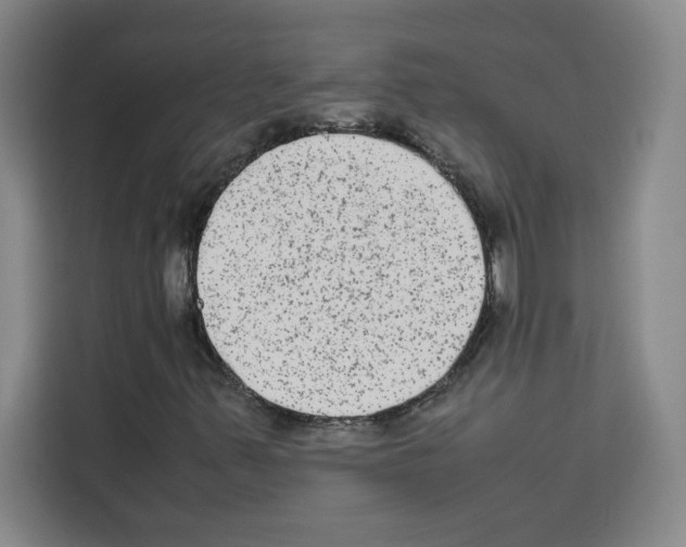 X0000113261347200910221031