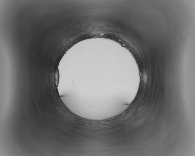 X0000113261348200910221031