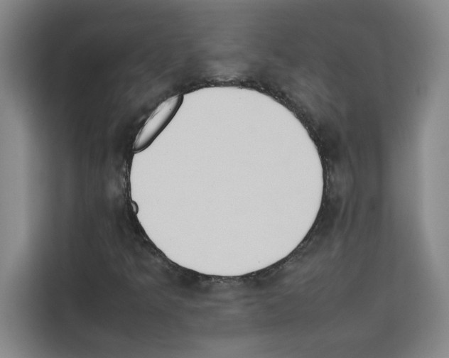 X0000113261349200910221031
