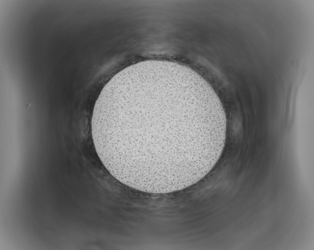 X0000113261350200910221031