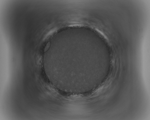 X0000113261351200910221031