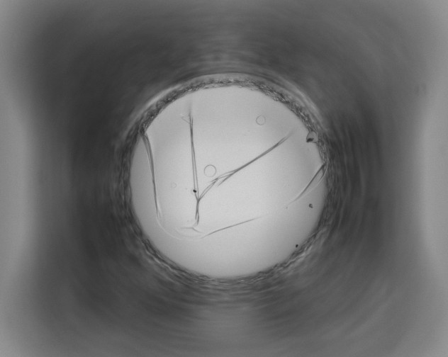 X0000113261352200910221031