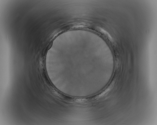 X0000113261353200910221031