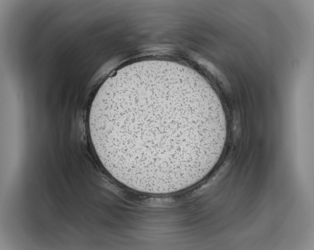 X0000113261354200910221031